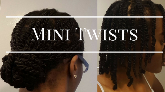 Mini Twists Protective Style: Natural Hair Tutorial - Lashaun Forbes